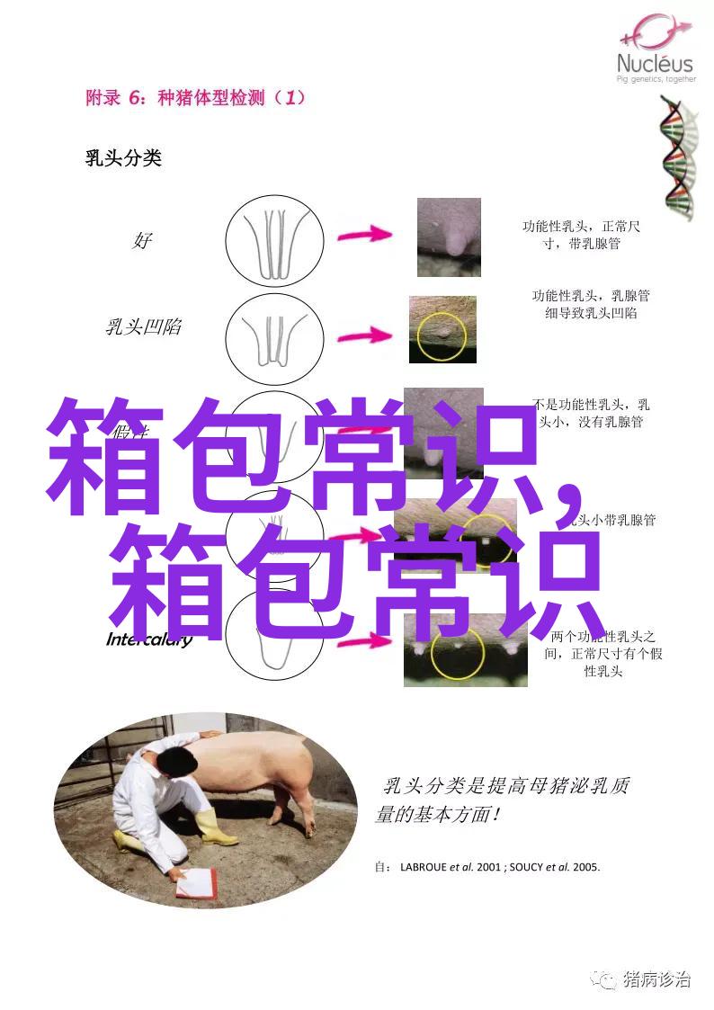 背带裙子编织教程